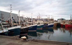 Part of the fishing fleet